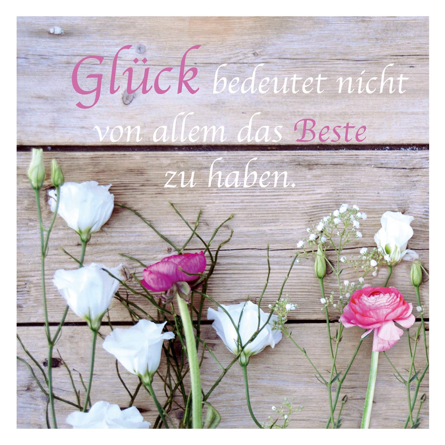 Leinwandbild mit Spruch und Blume, 35 x 35 cm | Möbel Jack